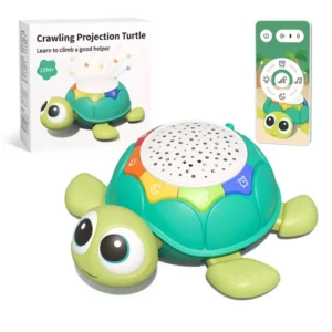 Crawling Projection Turtle